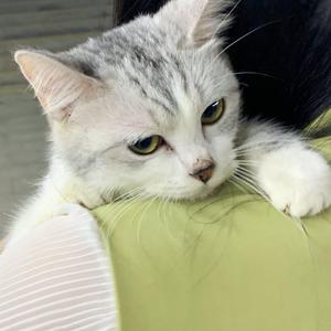 久久国产精品亚洲人一区二区三区
